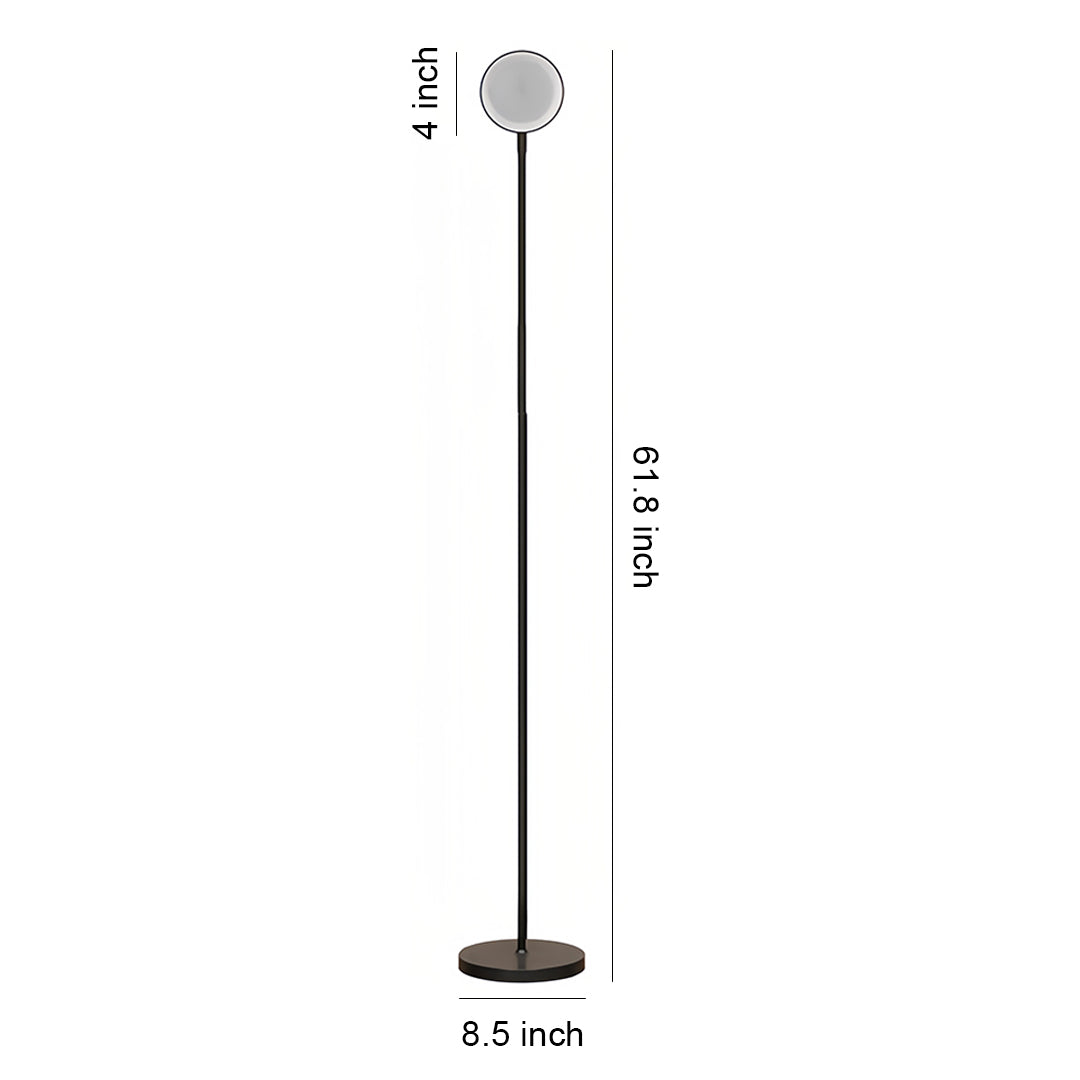 Floor Lamp LED Adjustable 360° Gooseneck Touch Dimmable USB Plug-in or Rechargeable Battery Black White Nordic Bedroom 62 Inch