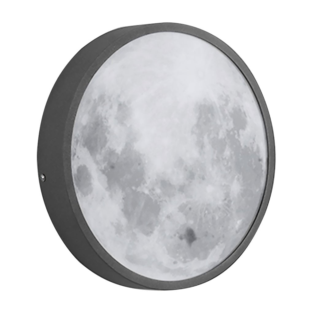 Moon Outdoor Wall Sconce Lunar Texture Glass LED 3000K Stainless Steel 2 Sizes