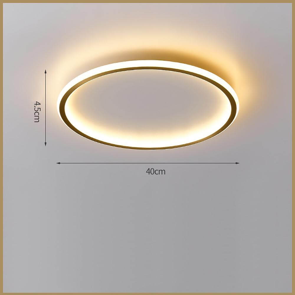 Nordic Circle LED Flush Mount Brass Silicone Four Modes Two Sizes