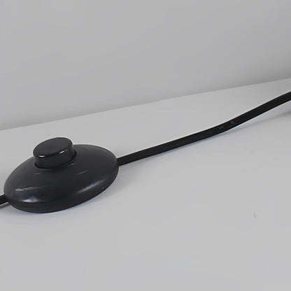 Modern Floor Lamp LED Oval Sculptural Acrylic Metal Warm White 3000K Foot Switch Black Gold Living Room Bedside 53 Inch
