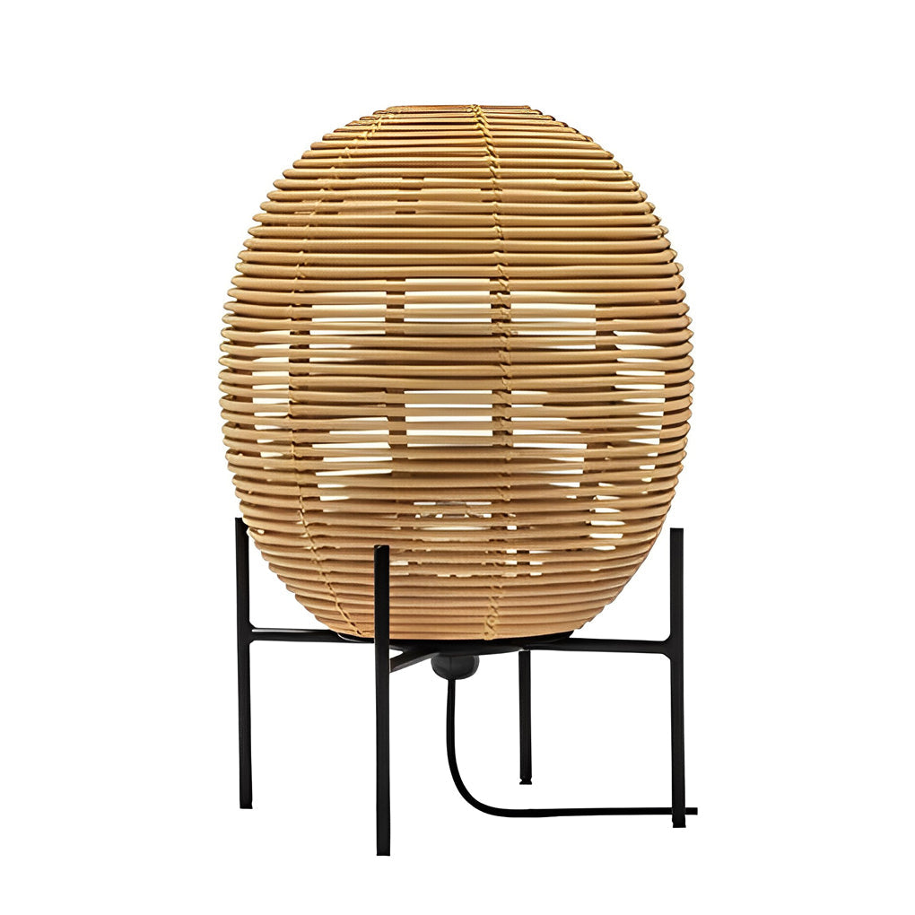 Boho Floor Lamp Rattan Globe Shade Black Iron Frame Rustic Farmhouse Warm White 3000K 3 Sizes Up To 63 Inch
