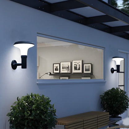 Modern Solar LED Outdoor Wall Sconce Round Flower Aluminum PC Shade IP65 2CCT Black Park Villa Garden