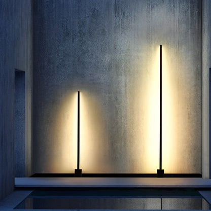 Contemporary Linear LED Outdoor Floor Lamp IP65 Stainless Steel 4 Heights 3000K