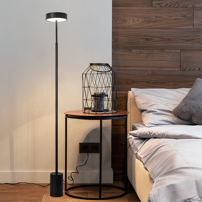 Modern Floor Lamp LED Dimmable Frosted Acrylic Shade Iron Pole Remote Control Stepless Dimming Nordic Black Gray White 56 Inch