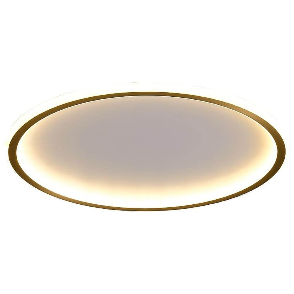 Nordic Circle LED Flush Mount Brass Silicone Four Modes Two Sizes