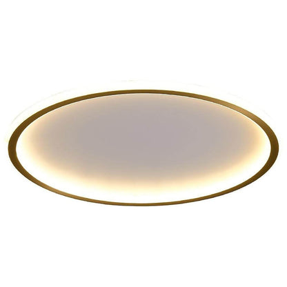 Nordic Circle LED Flush Mount Brass Silicone Four Modes Two Sizes