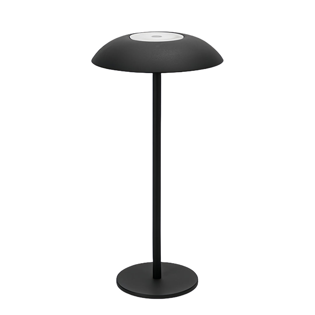 Minimalist Aluminium LED Table Lamp Remote Dimming Rechargeable Black White Brown