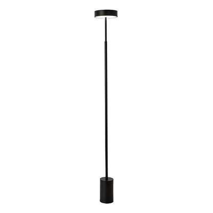 Modern Floor Lamp LED Dimmable Frosted Acrylic Shade Iron Pole Remote Control Stepless Dimming Nordic Black Gray White 56 Inch