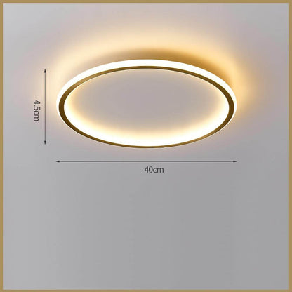 Nordic Circle LED Flush Mount Brass Silicone Four Modes Two Sizes