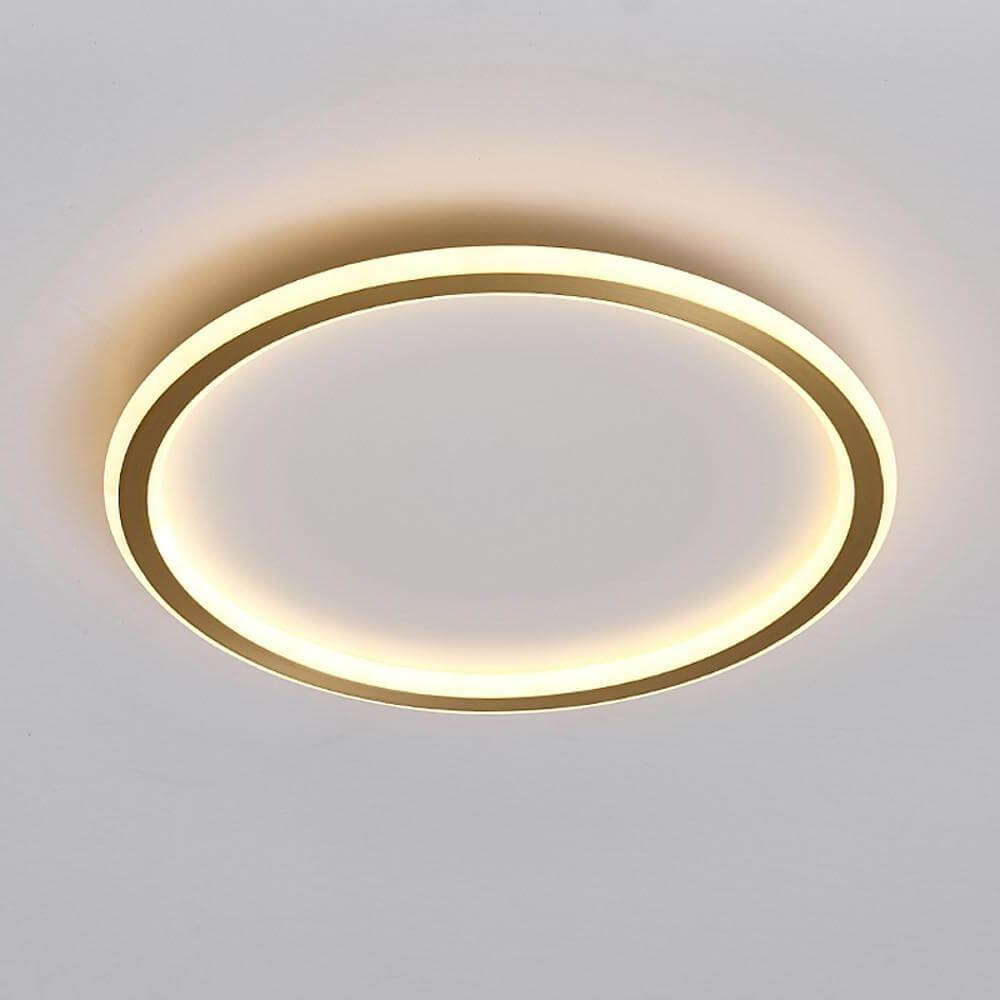 Nordic Circle LED Flush Mount Brass Silicone Four Modes Two Sizes