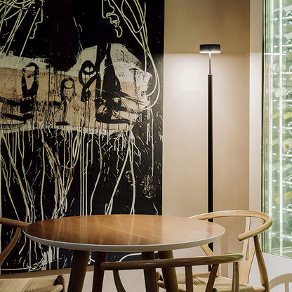 Modern Floor Lamp LED Dimmable Frosted Acrylic Shade Iron Pole Remote Control Stepless Dimming Nordic Black Gray White 56 Inch