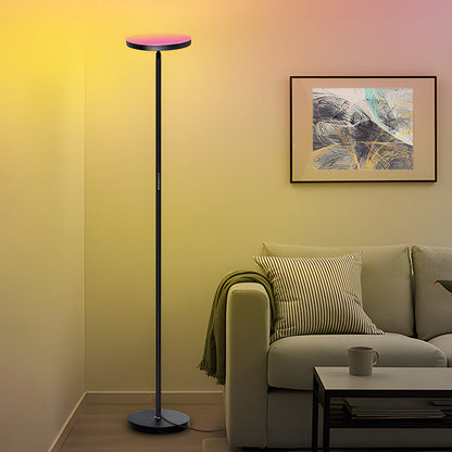 Dimmable RGB LED Floor Lamp Adjustable Head Iron Anti-Glare 24W 2000LM 3000K–6000K Remote Black 67''