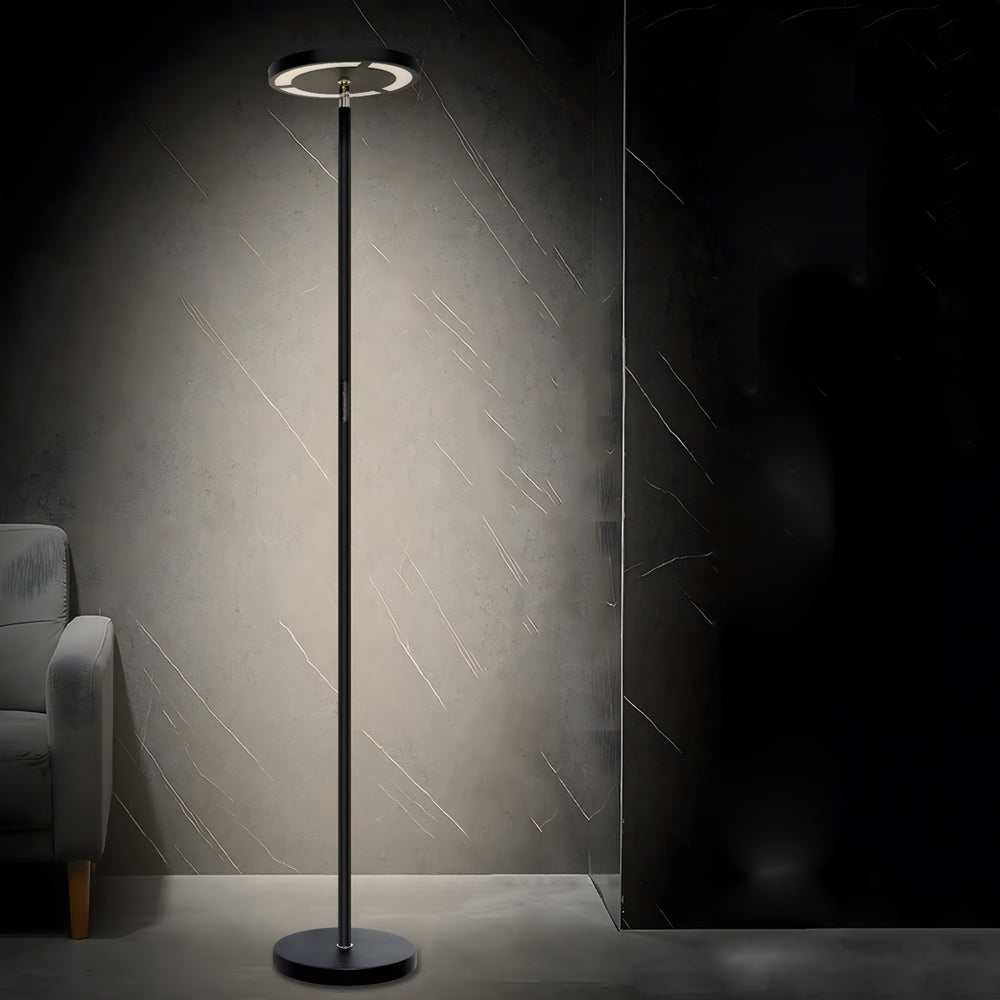 Dimmable RGB LED Floor Lamp Adjustable Head Iron Anti-Glare 24W 2000LM 3000K–6000K Remote Black 67''