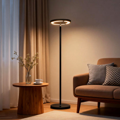 Dimmable RGB LED Floor Lamp Adjustable Head Iron Anti-Glare 24W 2000LM 3000K–6000K Remote Black 67''