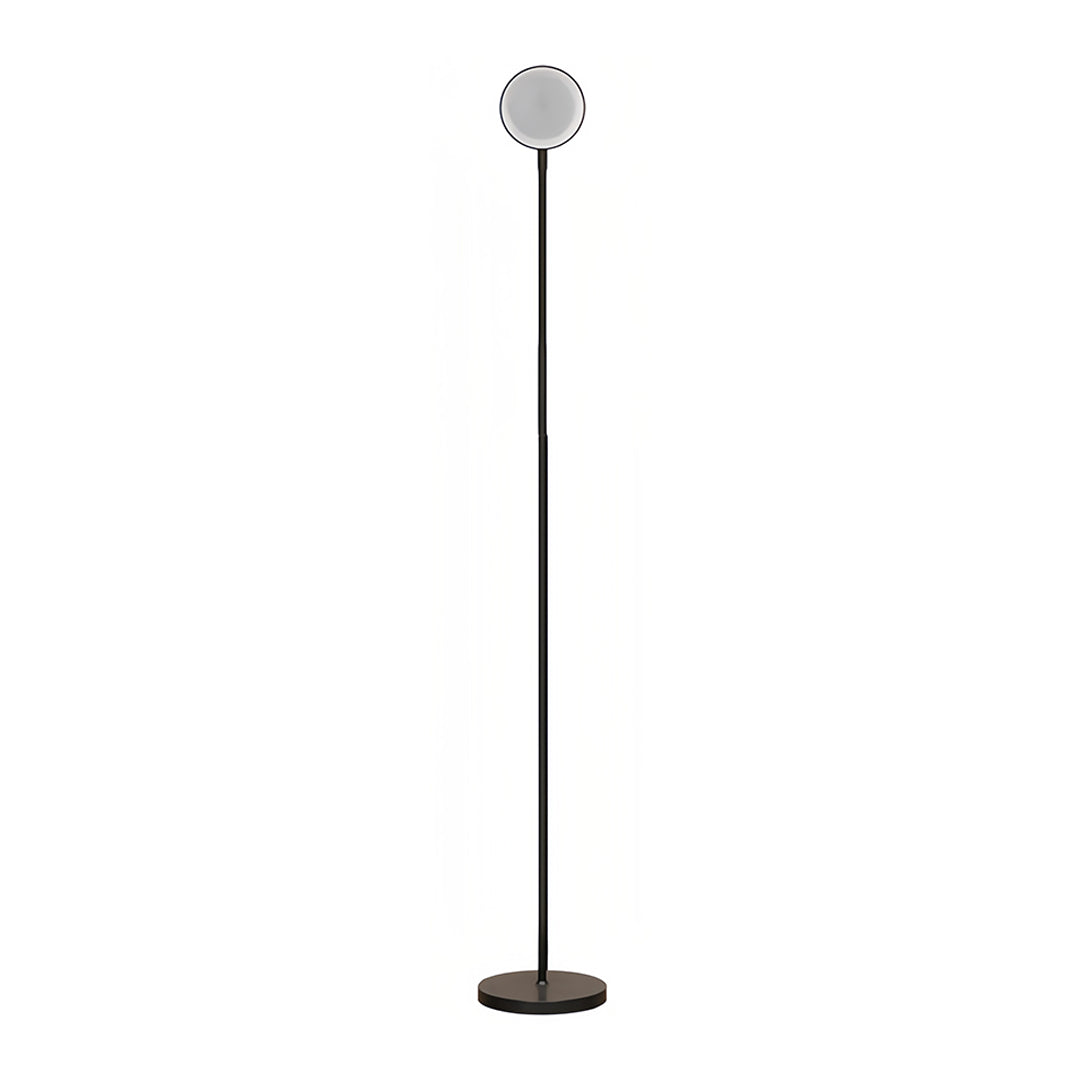 Floor Lamp LED Adjustable 360° Gooseneck Touch Dimmable USB Plug-in or Rechargeable Battery Black White Nordic Bedroom 62 Inch