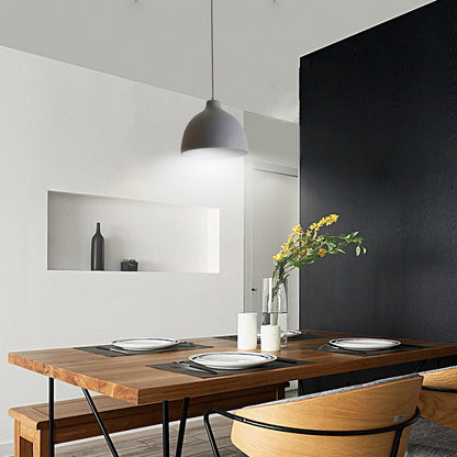 Modern Resin Dome Bowl Pendant Light