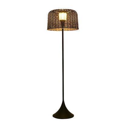 Modern Stainless Steel Mesh Shade Outdoor Floor Lamp IP65 Solar/Plug-In 3000K