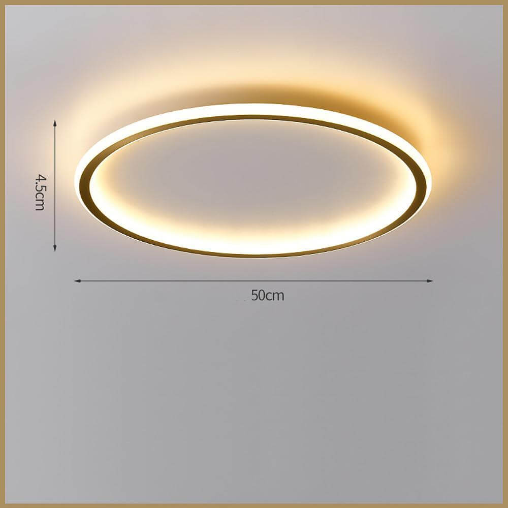 Nordic Circle LED Flush Mount Brass Silicone Four Modes Two Sizes
