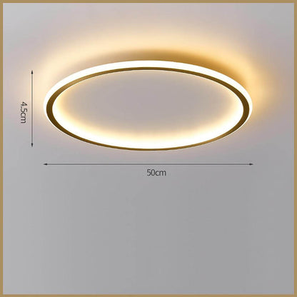 Nordic Circle LED Flush Mount Brass Silicone Four Modes Two Sizes