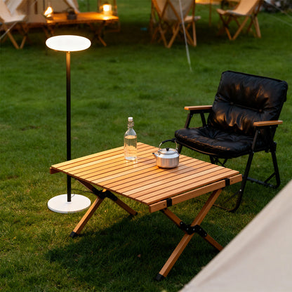 Solar Aluminium PE Disc Outdoor Floor Lamp IP65 10W 3000K/6000K 3 Heights
