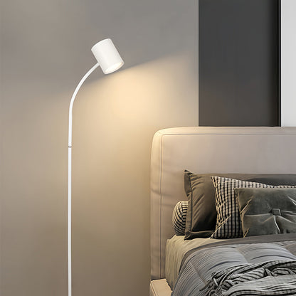 Floor Lamp LED Adjustable 360° Gooseneck Touch Dimmable USB Plug-in or Rechargeable Battery Black White Nordic Bedroom 62 Inch