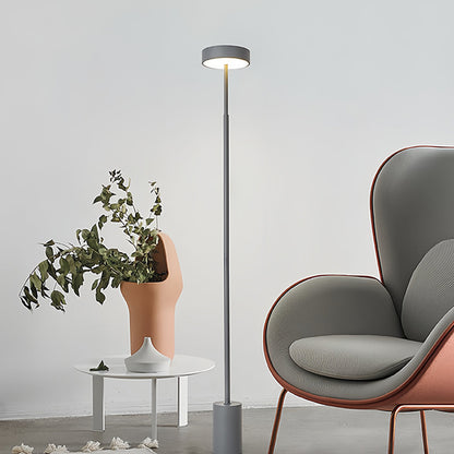 Modern Floor Lamp LED Dimmable Frosted Acrylic Shade Iron Pole Remote Control Stepless Dimming Nordic Black Gray White 56 Inch