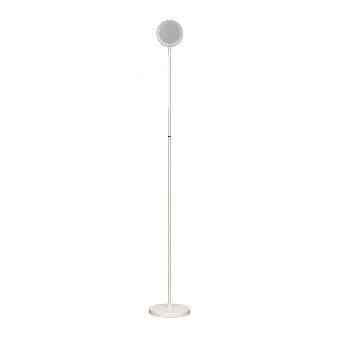 Floor Lamp LED Adjustable 360° Gooseneck Touch Dimmable USB Plug-in or Rechargeable Battery Black White Nordic Bedroom 62 Inch