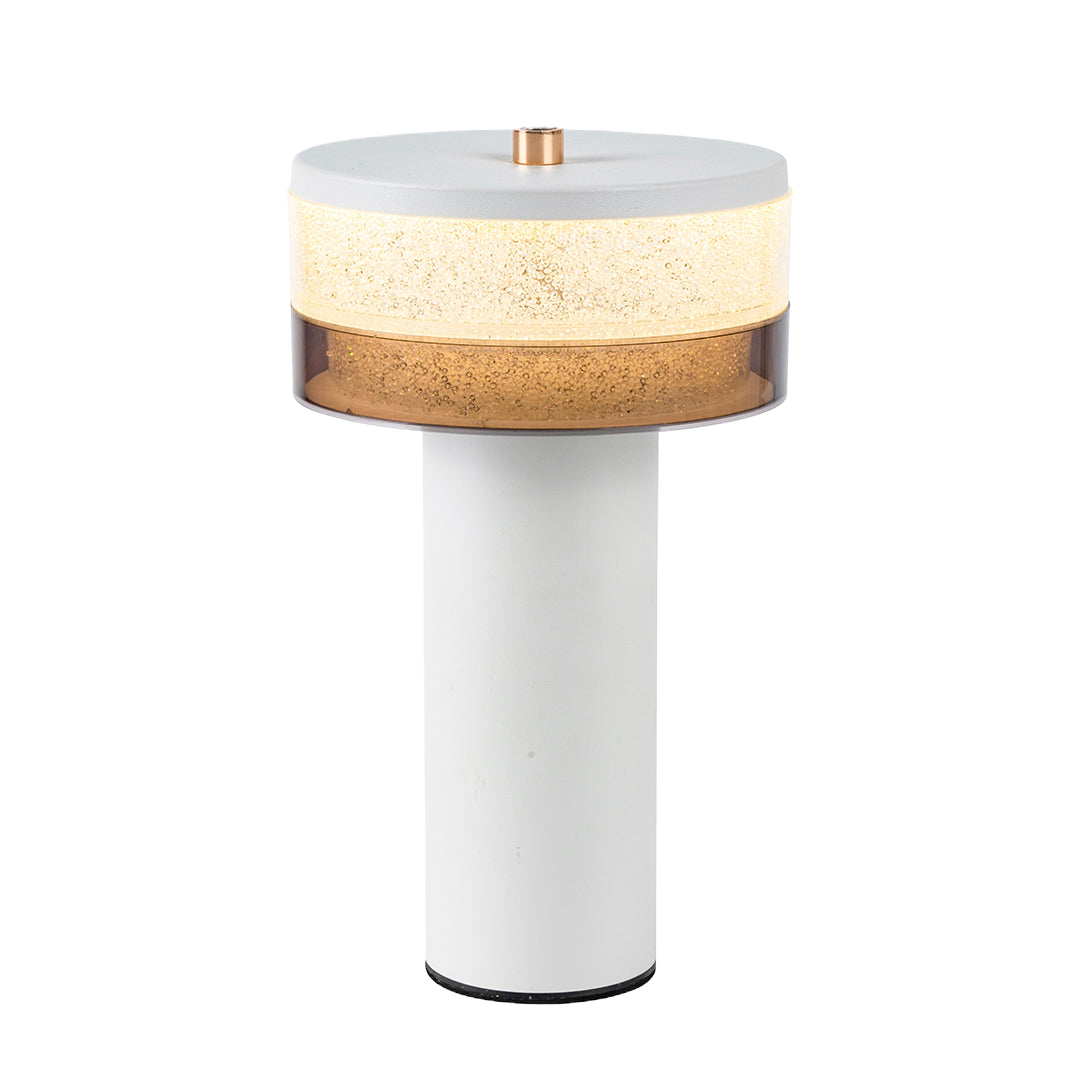 Nordic Cylindrical Iron LED Table Lamp Stepless Dimming USB Rechargeable Black White