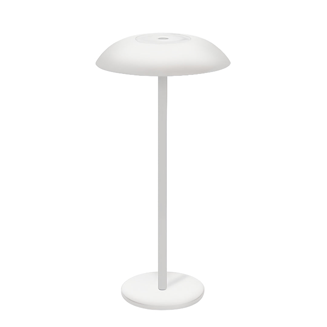 Minimalist Aluminium LED Table Lamp Remote Dimming Rechargeable Black White Brown